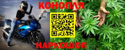 Альфа ПВП Лесосибирск