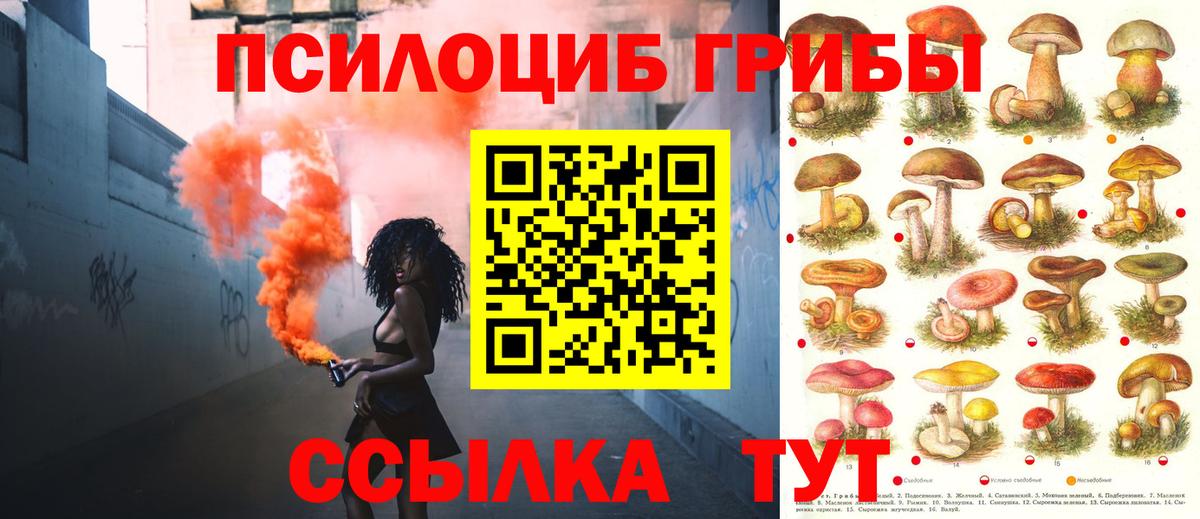 Псилоцибиновые грибы Psilocybine cubensis Волжск